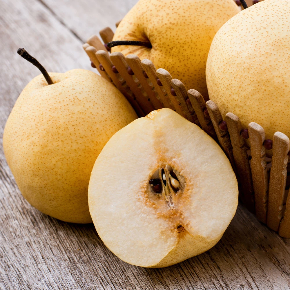 20th Century (Nijisseiki) Asian Pear Tree - Image 3