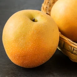 Hosui Asian Pear Tree