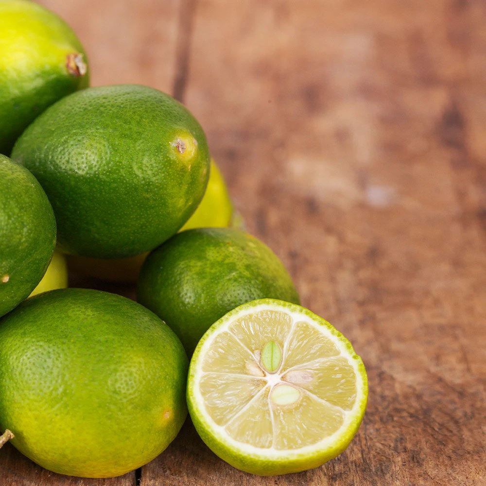 Limequat Tree - Image 2